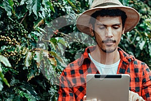 Farmer using digital tablet computer in cultivated coffee field plantation. Modern technology application in agricultural growing