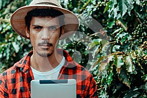 Farmer using digital tablet computer in cultivated coffee field plantation. Modern technology application in agricultural growing