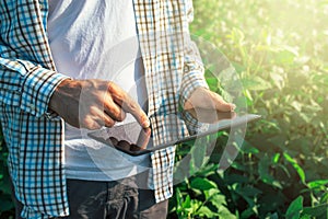 Farmer using digital tablet computer in cultivated soybean crops