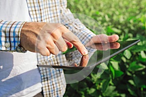 Farmer using digital tablet computer in cultivated soybean crops photo