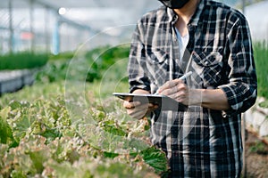 Farmer using digital tablet computer in field, technology application in agricultural growing activity. Smart farming