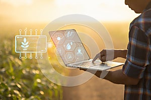 Farmer using digital tablet in corn crop cultivated field with smart farming interface icons and light flare sunset effect. Smart