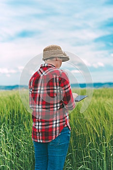 Farmer using digital tablet in wheat crop field