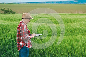 Farmer using digital tablet in wheat crop field