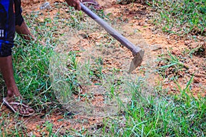 Farmer is using hoe to mow grass i the field. Mowing the grass in the field with shovel. Hoe with green pruning grasses.