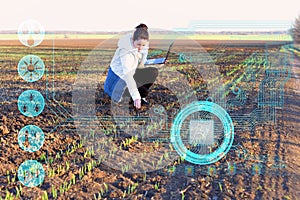 A farmer using a laptop and modern technology analyzes the data on humidity, temperature, light acidity, fertilizers and pests to