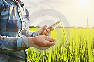 farmer using mobile checking report of agriculture