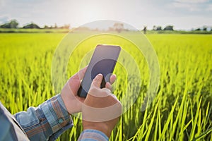 farmer using mobile checking report of agriculture