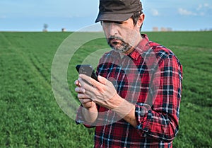 Farmer using mobile smartphone in wheat seedling field, smart farming concept