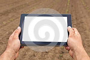 Farmer using tablet computer in agricultural cultivated field. W