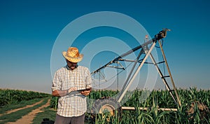 Farmer using tablet computer in cornfield with irrigation system