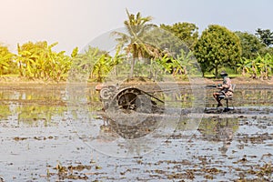 Farmer using tiller tractor in rice field