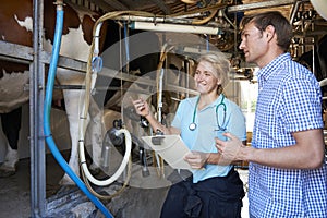 Farmer And Vet Inspecting Dairy Cattle In Milking Parlour photo