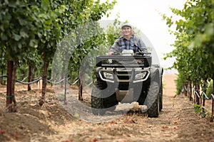 Farmer in vineyard