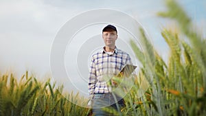 Farmer walking along a wheat field with digital tablet