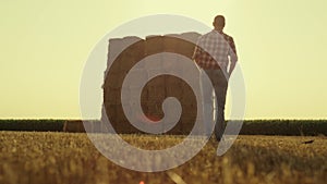 Farmer walking dry straw wheat field with haystacks checking harvesting results.