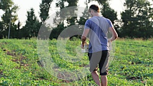 Farmer walking on the field with fresh harves of organic melons in wooden box.