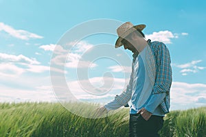 Farmer walking through a green wheat field