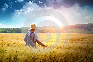 Agricultor través de trigo 