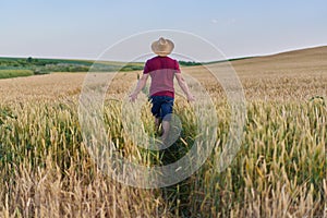 Farmer walking through a wheat field