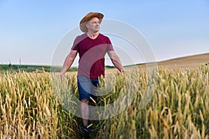 Farmer walking through a wheat field