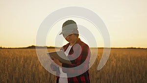 Farmer walking wheat field checking quality cereal crop on sunset.