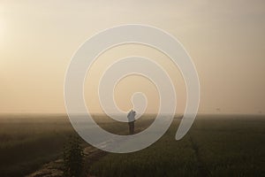 Farmer walks in the middle of rice fields