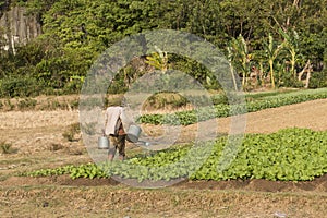 Farmer watering a farm field. Kampot, Cambodia