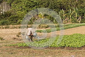 Farmer watering a farm field. Kampot, Cambodia photo