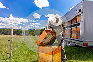 Farmer wearing bee suit