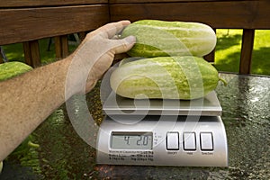 Farmer Weighing Produce For Customer