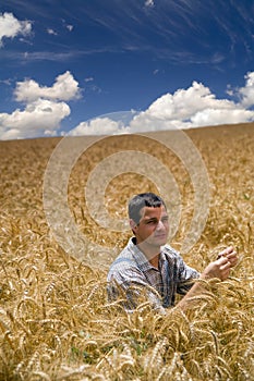 Agricultor en trigo 
