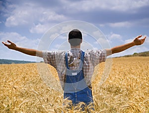 Farmer in a wheat field