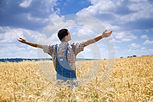 Farmer in a wheat field