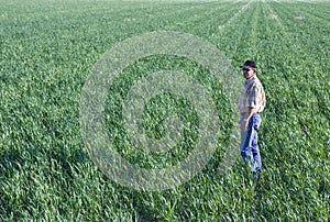 Farmer in wheat field