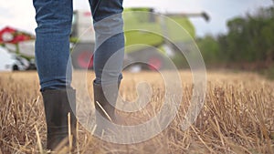 farmer in a wheat field. agricultural business concept. An experienced farmer walks through wheat field with a tablet in