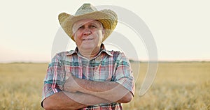 Farmer on a wheat field. Elderly man in hat with a folder walking inside the yellow field and examines the growth plants