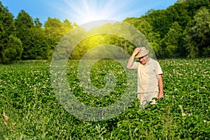 Farmer in the wheat field