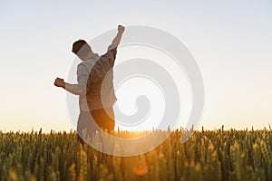 Farmer in wheat field planning harvest activity, female agronomist looking at sunset on the horizon.