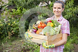 Farmer woman in gloves holding wooden box full of fresh raw vegetables. Basket with vegetable in the hands