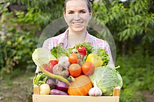 Farmer woman in gloves holding wooden box full of fresh raw vegetables. Basket with vegetable in the hands