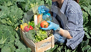 Farmer woman holding wooden box full of fresh raw vegetables. Basket with fresh organic vegetable  and peppers in the hands