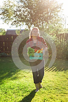 Farmer woman holding wooden box full of fresh raw vegetables. Basket with vegetable cabbage, carrots, cucumbers, radish