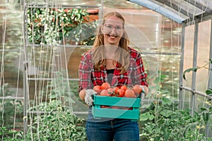Farmer woman holding wooden box full of fresh raw vegetables in greenhouse. Basket with vegetable cabbage, carrots