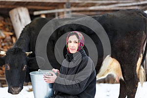 Farmer woman milking a cow in winter yard photo