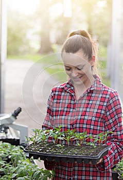Farmer woman with seedlings in greenhouse