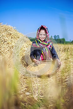 Farmer woman threshed rice in field