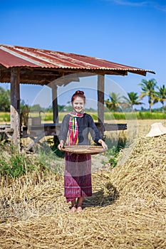 Farmer woman threshed rice in field