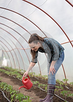 Farmer woman watering seedlings in greenhouse