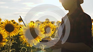 Farmer woman working in the field. agronomist in a field of sunflowers with a laptop works in the sun. business woman